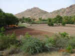 52223Tank ID 1800112 Thippayyanadurga 2.JPG