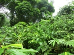 45108CIMG2193.JPG