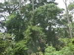 49501CIMG5838.JPG