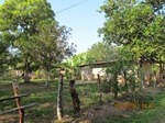 31902IMG_5409.JPG