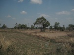 28148IMG_4977.JPG