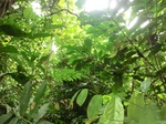 45609CIMG2694.JPG