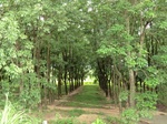 34857CIMG1528.JPG
