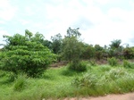 21048P1020920.JPG