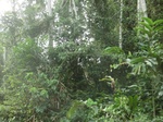 48115CIMG4452.JPG