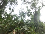48140CIMG4477.JPG