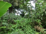 46169CIMG0458.JPG