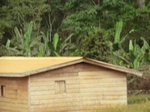 48228CIMG4565.JPG