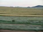 38002CIMG1810.JPG