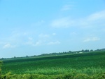 57604CIMG4193.JPG