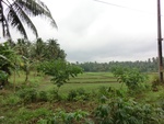30953CIMG0814.JPG