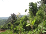 15136IMG_3956.JPG