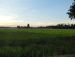 26114DSC01142.JPG