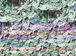 11672vp-069-Irrigated cotton-b.jpg