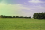 2024-06-17_22-33-10_FF68F4BD-9F62-499C-B0ED-F8638D13DADA.jpeg