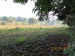 30025IMG_5370.JPG