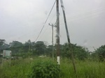 49925CIMG6262.JPG