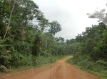 47597CIMG3934.JPG