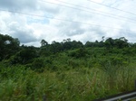 20296P1020152.JPG