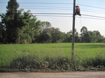 28161IMG_4995.JPG