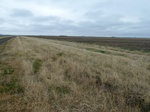 42383P1000057.jpg