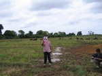 1040106-cropland-rice-supplimental-iirigationa.gif