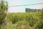 2024-08-05_14-06-51_1DB84657-31B9-4ABF-9AAE-9B0246454EEE.jpeg