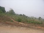 3938RIMG0242.JPG