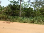 51582P1000774.JPG