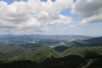 2024-08-05_13-55-20_C52BD7E9-C7F4-41AC-8FA9-7507604393DE.jpeg