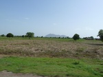 19296P1010142.JPG