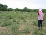 1170903-cropland-chenna-dominantb.jpg