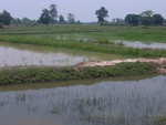 34635RIMG0102.JPG