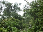47903CIMG4240.JPG