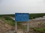 53795CIMG0261.JPG