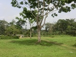 49727CIMG6064.JPG