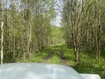 2025-05-21_10-09-12_IMG_7716.jpeg