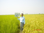 6680gt127-cropland-1.jpg