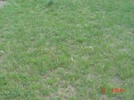 276102003-Q9.JPG
