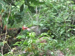 31991IMG_5604.JPG