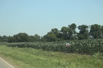 2024-06-17_21-26-40_C628A4EB-F85F-42EE-9859-AD345428AC14.jpeg