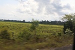 2024-10-10_16-56-06_8C1A3304-EE35-4C42-9C54-7DA1E26A7F52.jpeg