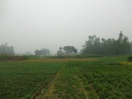 40118CIMG9184.JPG