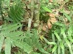 48728CIMG5065.JPG