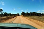 28445P1010456-1.JPG
