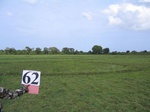 835162-cropland-rice-fallow-a.jpg