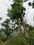 53603CIMG6968.JPG