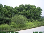 882R0015398_tag.jpg