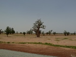 19035P1000880.JPG
