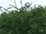 1689002052008(49).JPG